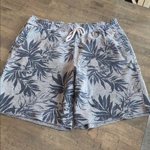 Hollister sweatshorts